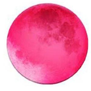NEW - Pink Moon Expanding Phone Grip
